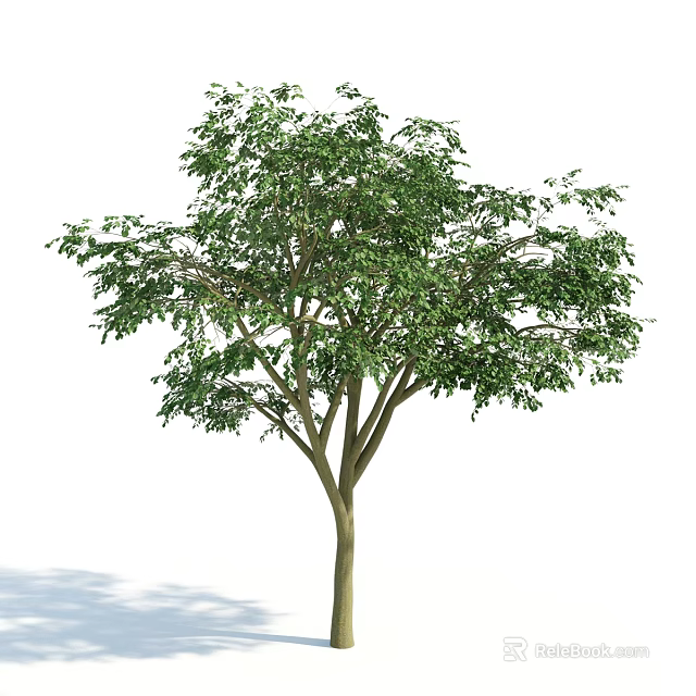 Lush Green Arbor With Brown Trunk And Dense Foliage Isolated On White 3d model 