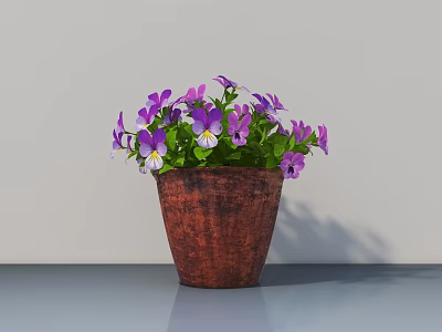 Potted Plant With Purple Flowers Yellow White Centers In Brown Terracotta Pot On Gray Surface 3d model