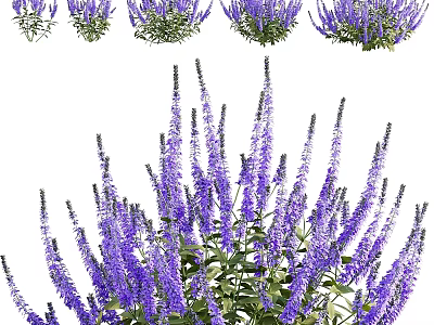 Vibrant Purple Flower Garden Decor With Lush Blooms For Outdoor Landscaping Spaces 3d model