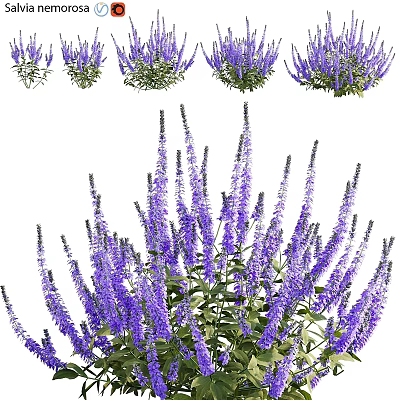 Vibrant Purple Flower Garden Decor With Lush Blooms For Outdoor Landscaping Spaces 3d model