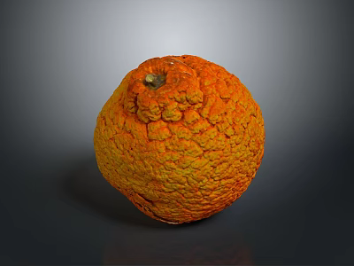 Round Orange Yellow Fruit With Rough Bumpy Surface And Small Stem 3d model