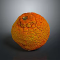 Round Orange Yellow Fruit With Rough Bumpy Surface And Small Stem