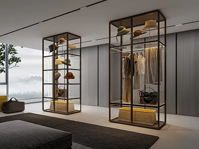 Modern Walk in Closet Design With Glass Frame Hanging Clothes Hats Bags And Storage Baskets 3d model