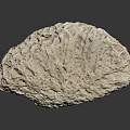 Aquatic Animal Near Natural Rough Stone With Reflective Surface And Texture