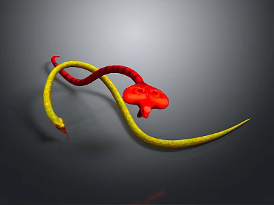 Detailed Vibrant Red Yellow Curved Snake Reptile on Gray Background Surface 3d model