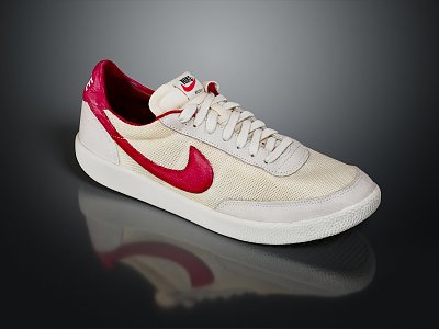 Modern Shoes Nike Travel Shoes Nike Shoes 3d model