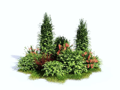 Diverse Garden Shrubs With Tall Columnar Varieties Red Flowers And Lush Green Foliage 3d model