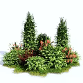 Diverse Garden Shrubs With Tall Columnar Varieties Red Flowers And Lush Green Foliage