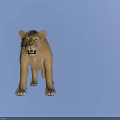 Realistic Lioness Standing In Natural Pose With Detailed Fur And Lifelike Features