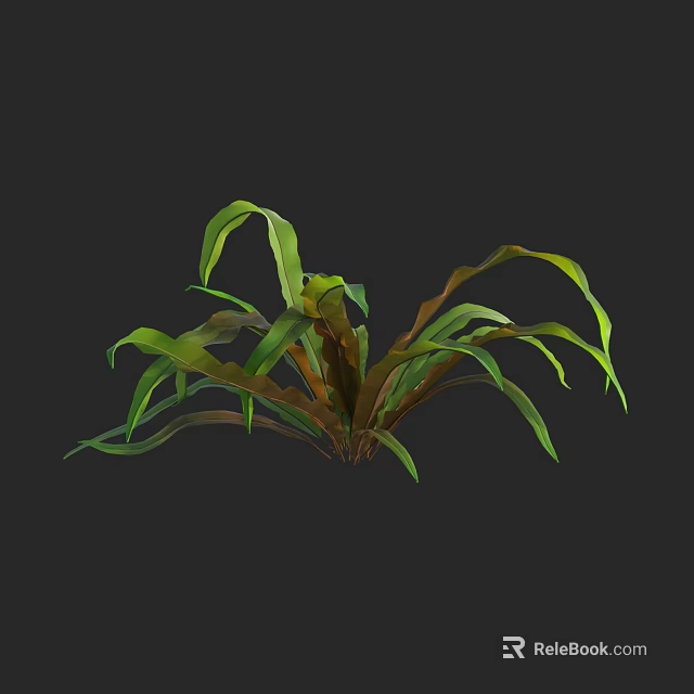 Plant With Green And Brown Long Leaves In Dark Background 3d model 