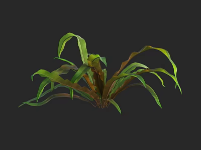 Plant With Green And Brown Long Leaves In Dark Background 3d model