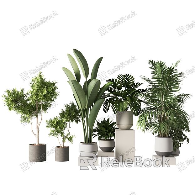 modern potted plant potted plant model