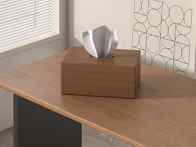 Wooden Tissue Box On Wooden Table With Window Blinds And Geometric Wall Pattern 3d model