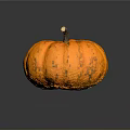 Ripe Fresh Orange Textured Pumpkin on Black Background with Clear Reflection