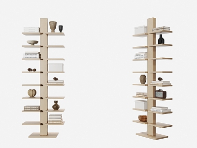 Modern Bookshelf model