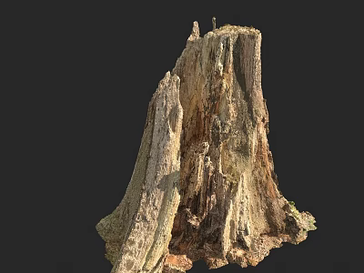 Natural Stone Wood Stump With Rough Texture And Weathered Surface Details 3d model