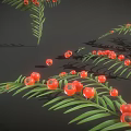 Lush Green Foliage With Vibrant Red Berries Decorative Plant For Home Decoration