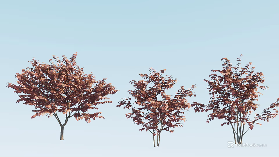 Three Red Leaf Trees Standing Against Light Blue Sky With Vibrant Foliage 3d model 