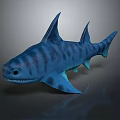 Blue Striped Shark 3D Model with Sharp Fins on Black Background and Reflection 3d model