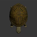 Detailed 3D Rendered Turtle With Orange And Black Patterned Shell
