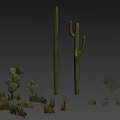 Decorative Plant Combination With Various Cacti And Grasses For Interior Design 3d model