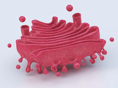 Red Human Brain Cortex 3D Model with Folded Surface and Spherical Particles 3d model