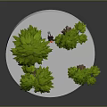 Green Leafy Trees with Brown Trunks on White Circular Platform and Small Red Object 3d model