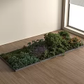 Indoor Green Plants And Colorful Flowers In Rectangular Planter Near Window On Wooden Floor