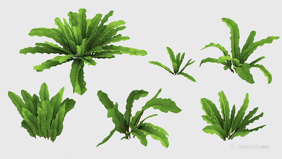 Decorative Vase With Green Fern Plants Of Various Sizes And Leaf Shapes 3d model 