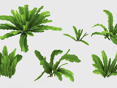 Decorative Vase With Green Fern Plants Of Various Sizes And Leaf Shapes 3d model
