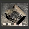Natural Wooden Stone Raw Material With Textured Surface On Checkered Base