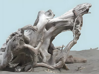 Weathered Driftwood Pieces On Sandy Beach With Natural Texture And Curved Shapes 3d model