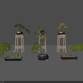 Multiple Bonsai Plants Featuring Curved Branches Green Foliage Placed on Wooden Stands and Ground