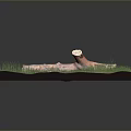 Wooden Log With Stone Accent Placed On Grass Covered Display Base