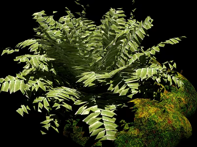 Bonsai Potted Plant With Lush Green Fern Leaves And Natural Stone Decorative Base 3d model