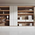 Modern bookcase 3d model