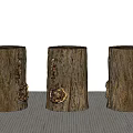 Three Rustic Wooden Tree Stump Stools with Natural Texture and Knots