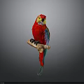 Vibrant Red Parrot with Colorful Feathers Perched on Wooden Branch Against Gray Background