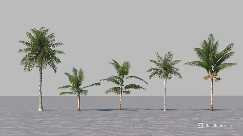 Multiple Palm Trees Of Different Sizes On Gray Paved Ground With Gray Sky 3d model 