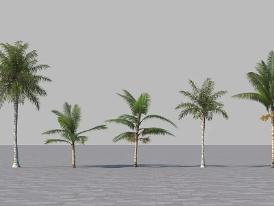 Multiple Palm Trees Of Different Sizes On Gray Paved Ground With Gray Sky 3d model