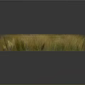 Lush Yellow And Green Grass In Square Shape Against Gray Background