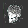 Human Skull With Grayish White Surface Cracks And Visible Teeth On Dark Background
