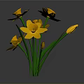 Vibrant Yellow Flowers With Green Stems And Leaves On Gray Background