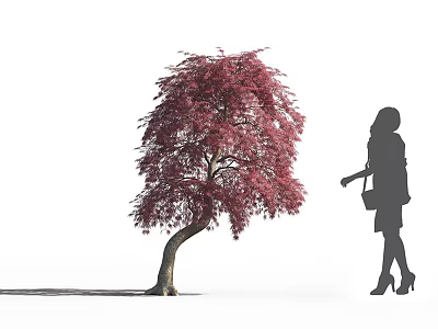 Tall Tree With Vibrant Red Leaves And Curved Trunk Standing Beside Female Silhouette 3d model