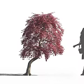 Tall Tree With Vibrant Red Leaves And Curved Trunk Standing Beside Female Silhouette