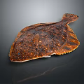 Brown Spotted Flounder with Flat Body Textured Skin and Fins on Dark Background