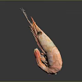 Fresh Orange Cooked Shrimp With Curved Body And Long Antennae On Dark Background