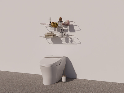 Modern toilet utensils model