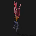 Vibrant Red And Purple Leaves With Yellow Stems And Blue Roots On Black Background