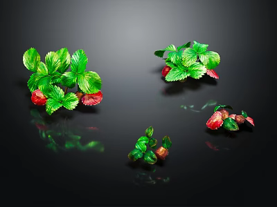 Strawberry Plants With Green Leaves And Red Fruits On Black Reflective Surface 3d model